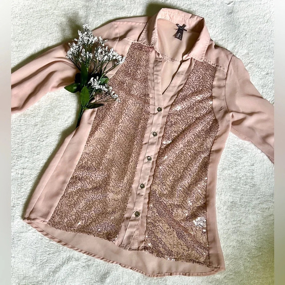Vanity Soft Pink Sequin Sheer Blouse - Small - Picture 1 of 5
